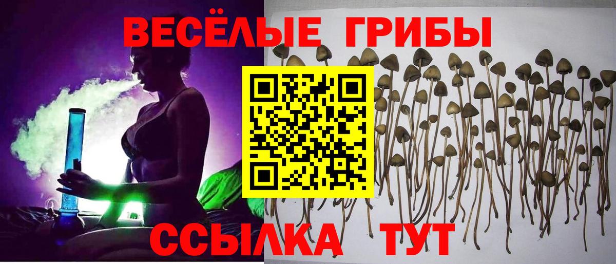 Псилоцибиновые грибы MAGIC MUSHROOMS Мирный