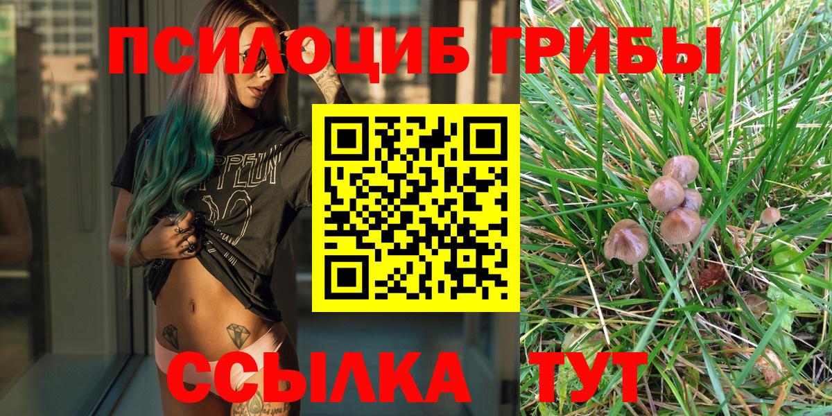 Мирный  Псилоцибиновые грибы GOLDEN TEACHER  Вход с VPN 
